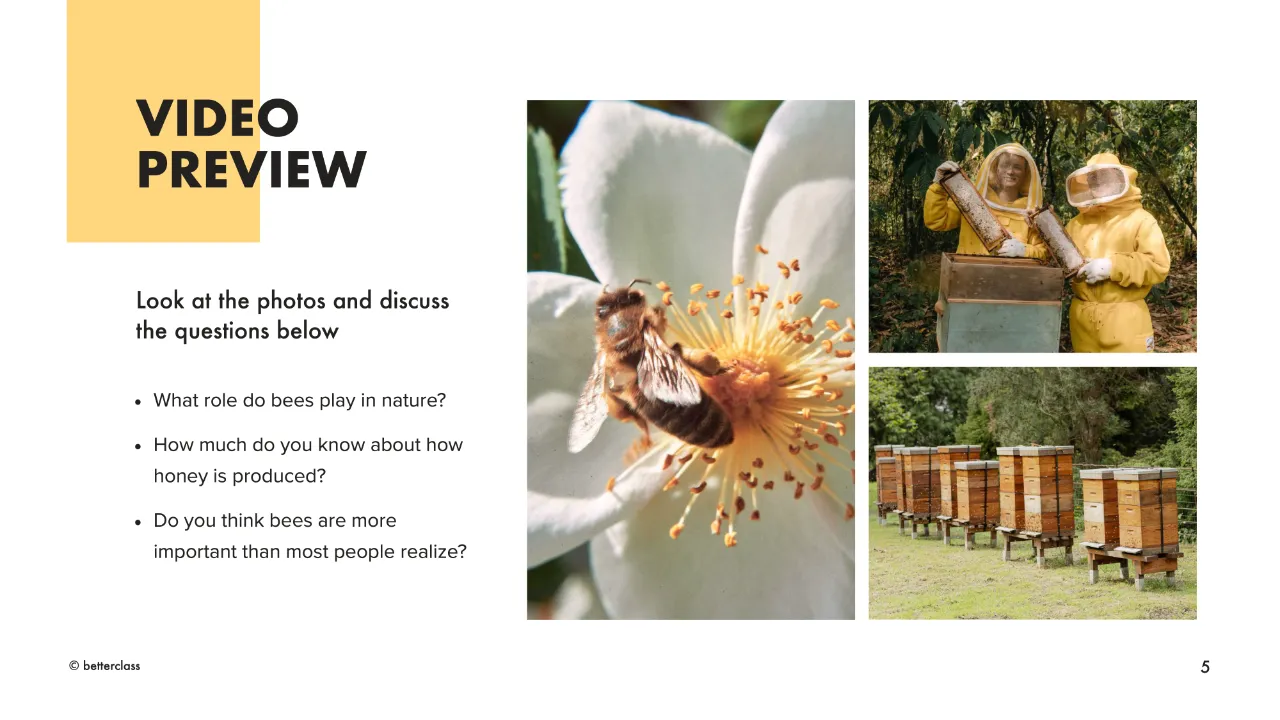 Nature B2 video preview: a bee on a white flower beside beekeepers in suits and a row of wooden hives in a garden.
