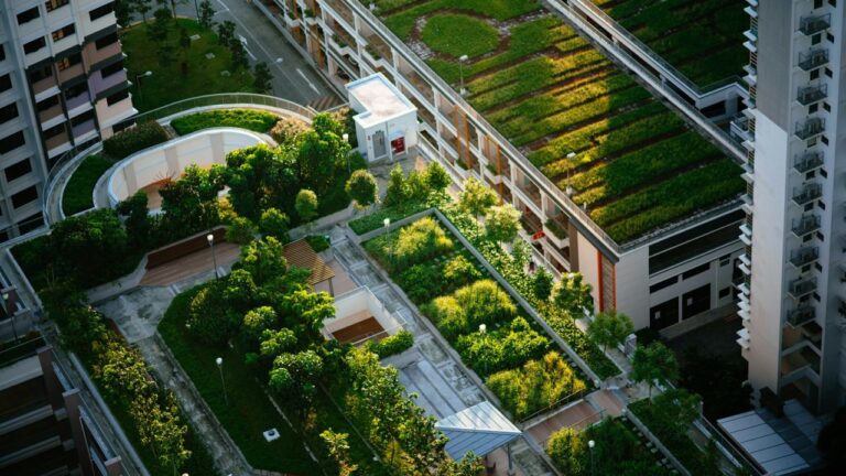 urban gardening esl lesson b1