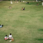 Friends chat in small groups scattered across a sunny park lawn, capturing the third spaces theme covered in this B2 lesson.