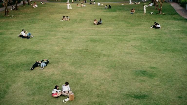 Friends chat in small groups scattered across a sunny park lawn, capturing the third spaces theme covered in this B2 lesson.