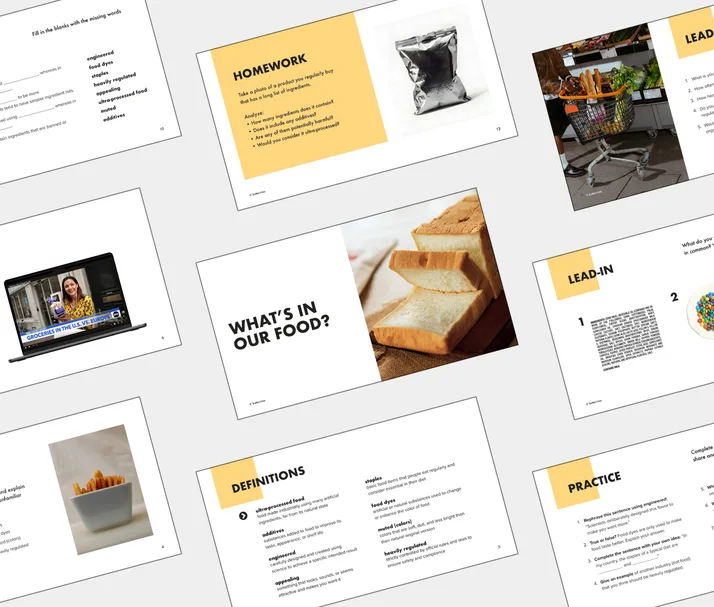 B2 lesson about What’s in Our Food?, student Light PDF preview